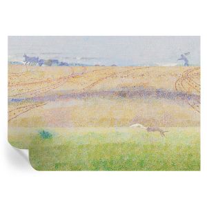 Papel pintado autoadhesivo campo de verano 312x219 tulup