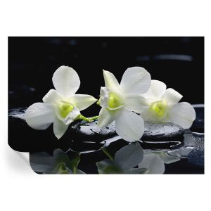 Murales autoadhesivos flores y piedras 208x146 tulup
