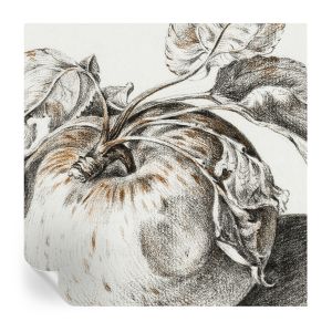 Murales autoadhesivos hojas de manzana 250x250 tulup