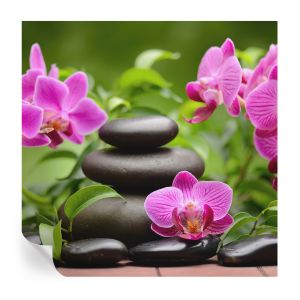 Murales autoadhesivos piedras de orquídea 250x250 tulup