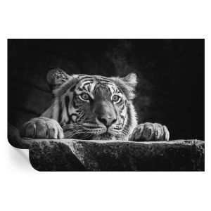 Papel pintado autoadhesivo mirada depredadora 104x152 tulup