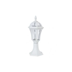 Sobremuro jardin comino blanco  17cm