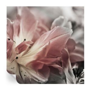 Papel pintado autoadhesivo flor pastel 250x250 tulup
