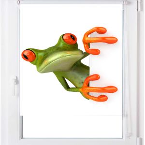Estoralis | estor enrollable personalizado a-861 55x150 multicolor