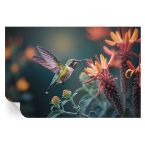 Murales autoadhesivos flores de colibrí 104x152 tulup