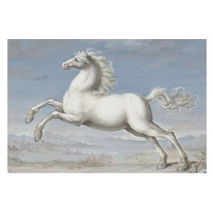 Papel pintado tejido no tejido 312x219 caballos en el salto tulup