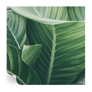 Papel pintado autoadhesivo paz verde 250x250 tulup