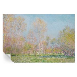 Papel pintado autoadhesivo parque de primavera 104x152 tulup