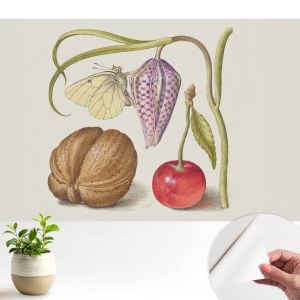 Murales autoadhesivos planta mariposa 250x250 tulup