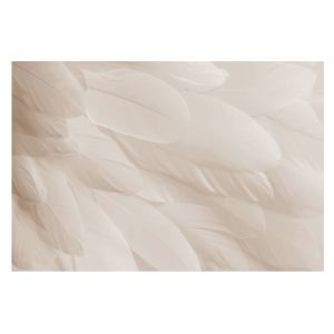 Papel pintado tnt 250x250 plumas etéreas tulup