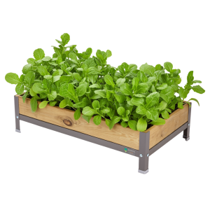Mi huerto Urban, Huerto urbano, Albahaca l, Jardinera Alta, Gris 90x60x26cm