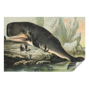 Murales autoadhesivos gigantismo marino 104x152 tulup