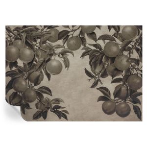 Murales autoadhesivos patrón de frutas 208x146 tulup