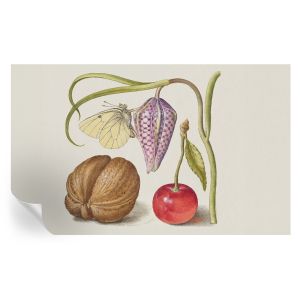 Murales autoadhesivos planta mariposa 416x254 tulup