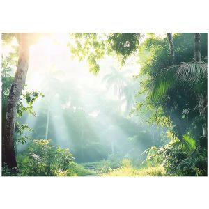 Papel pintado dormitorio naturaleza bosque 250x175 fotomurales tnt