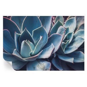 Papel pintado autoadhesivo aloe verde 104x152 tulup