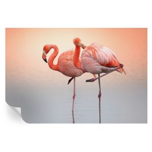 Papel pintado para paredes delicados flamencos 104x152 tulup