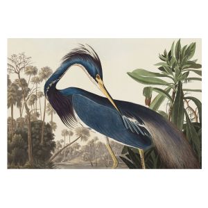 Papel pintado tejido no tejido 312x219 naturaleza exótica tulup