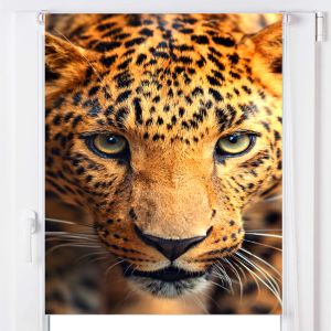 Estoralis | estor enrollable personalizado a-122 95x150 multicolor