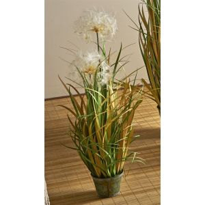 Planta diente de leon 80 cms. 80 cms