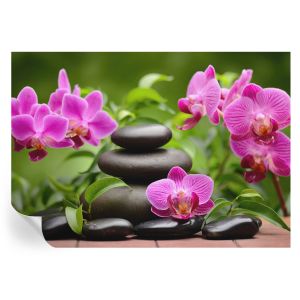 Murales autoadhesivos piedras de orquídea 208x146 tulup