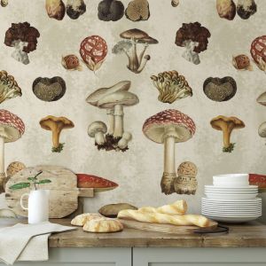Papel pintado ilustración vintage fungi