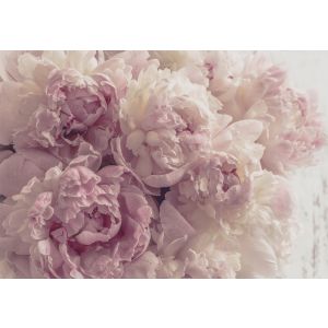 Papel pintado pared flores rosa 350x250 fotomurales dormitorio tnt