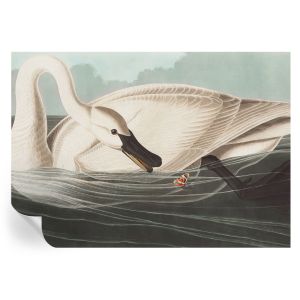 Papel pintado para paredes armonía de la naturaleza 208x146 tulup