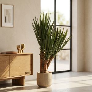 Planta artificial yuca premium 80 cm marrón y verde - naturing monde