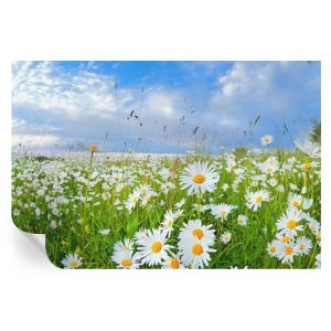Papel pintado autoadhesivo pradera de verano 70x104 tulup