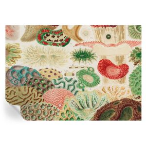 Papel pintado autoadhesivo formas orgánicas 208x146 tulup