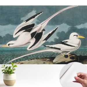 Murales autoadhesivos pájaros junto al mar 208x146 tulup