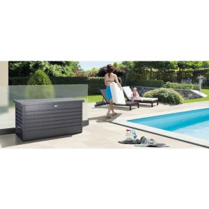 BAUL METALICO ARCON DE OCIO 160 BIOHORT GRIS OSCURO