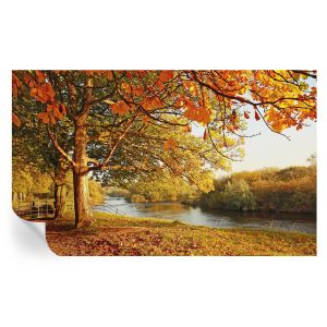 Murales autoadhesivos otoño costero 416x254 tulup