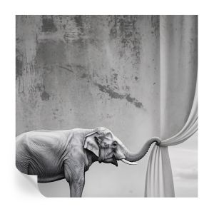 Murales autoadhesivos elefante surrealista 250x250 tulup