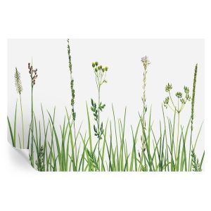 Murales autoadhesivos flora sutil 104x152 tulup