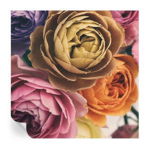Murales autoadhesivos rosas coloridas 250x250 tulup