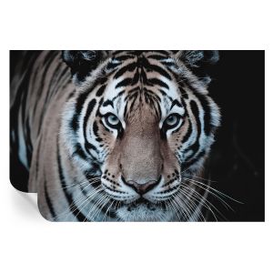 Murales autoadhesivos retrato de tigre 104x152 tulup