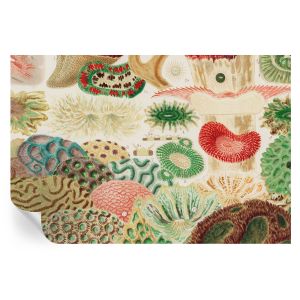 Papel pintado autoadhesivo formas orgánicas 104x152 tulup