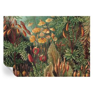 Murales autoadhesivos jardín exótico 208x146 tulup