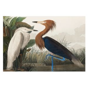 Papel pintado tejido no tejido 312x219 pájaros en las plantas tulup