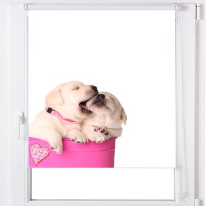 Estoralis | estor enrollable personalizado a-196 90x150 multicolor