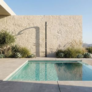 Ducha negra y acero inoxidable aisi 316l para piscina con mezclador y lavap