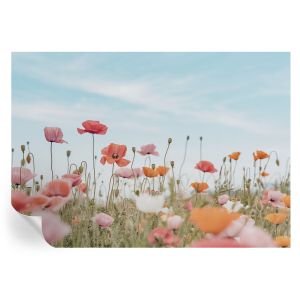 Murales autoadhesivos flores de amapola 208x146 tulup