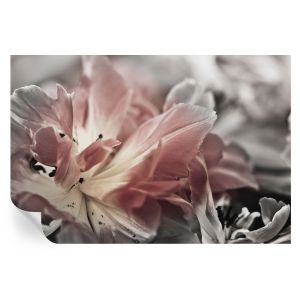 Papel pintado autoadhesivo flor pastel 70x104 tulup