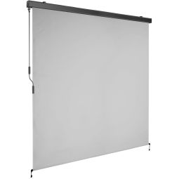 Toldo vertical con manivela, 2 soportes pared, 180x250 cm, gris claro