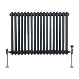 Radiador tradicional horizontal de 2 columnas - 600 x 832 mm - gris