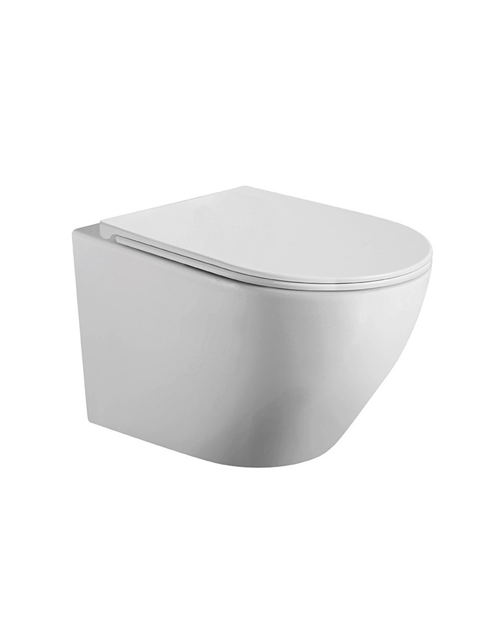 Wc inodoro suspendido rimless montaje a pared blanco mate