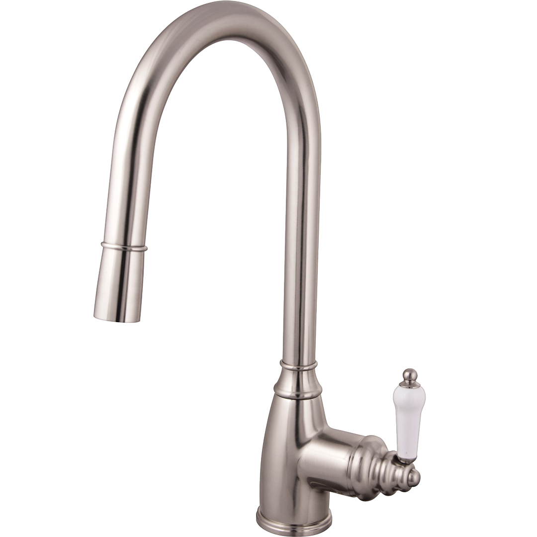 Ascott mezclador fregadero con ducha extraíble estilo acero inoxidable