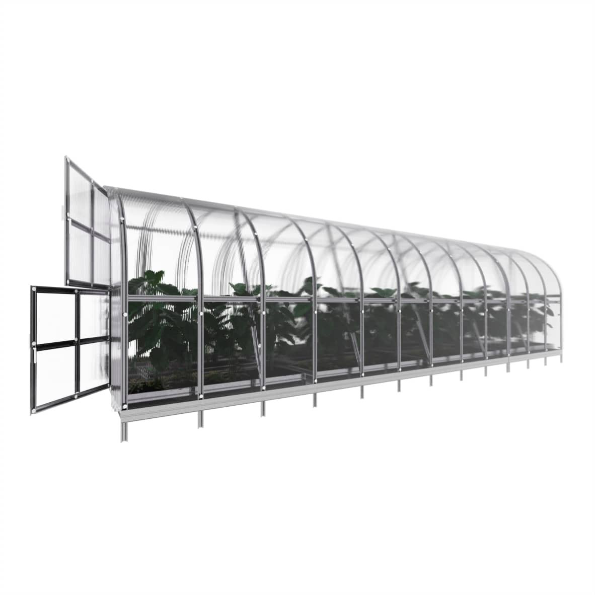Invernadero de jardín arch 3 x 8 m (24 m²), policarbonato de 6mm